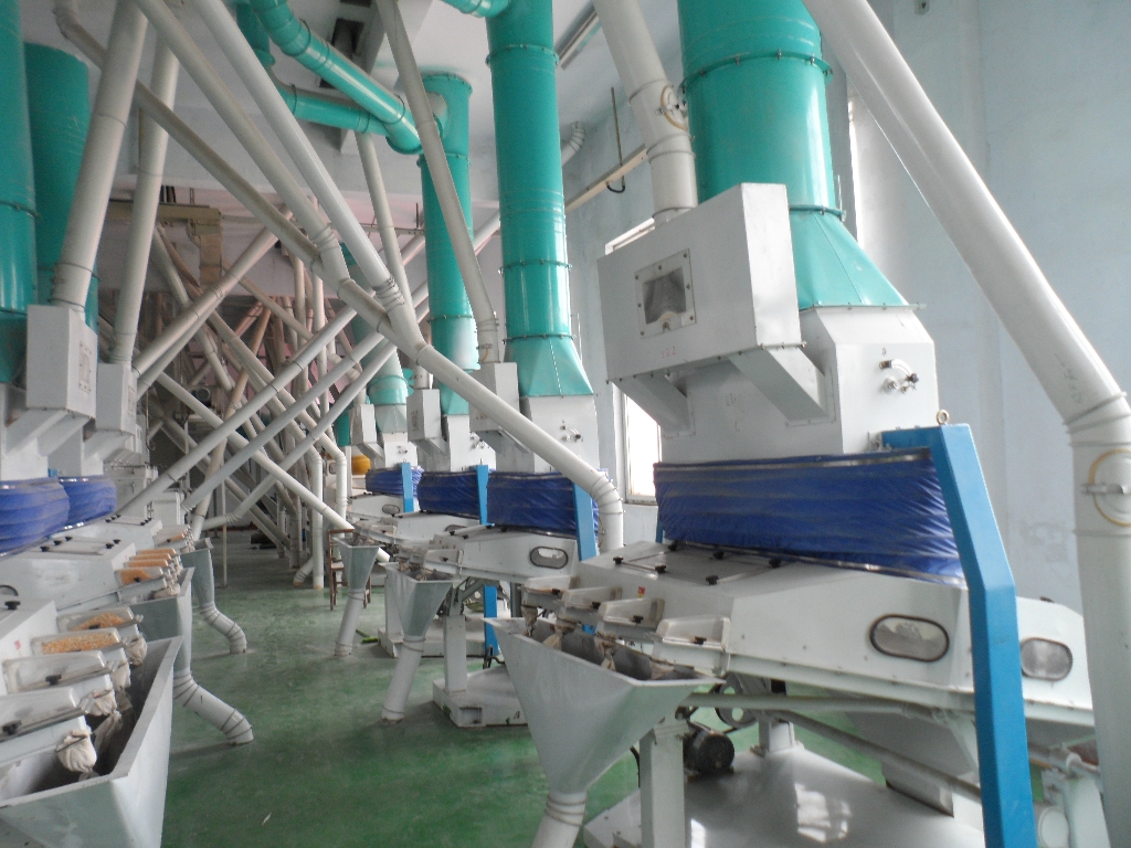 玉米加工機(jī)械為什么要脫胚？